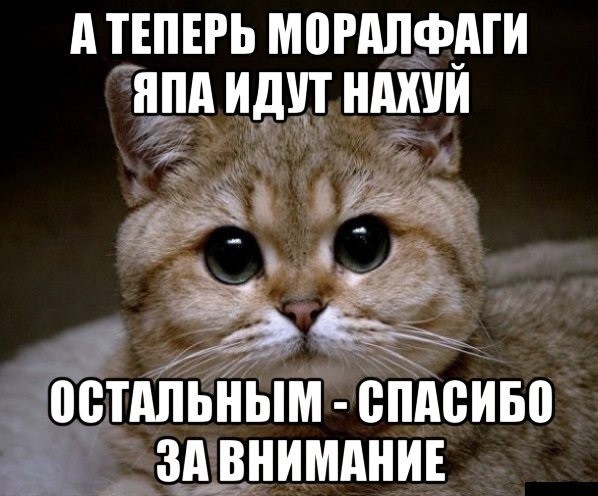 Пятничные 100м2 дичи