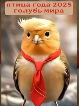 Война Израиля и ХАМАС официально закончилась — Трамп