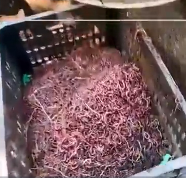 Отсутствие морально этических норм Vol.55