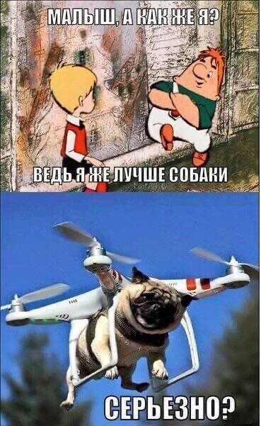 Воскресные картинки
