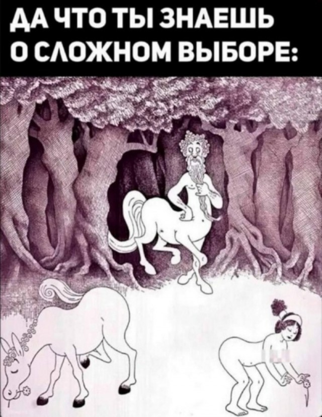 Так себе картинки 25.01.26
