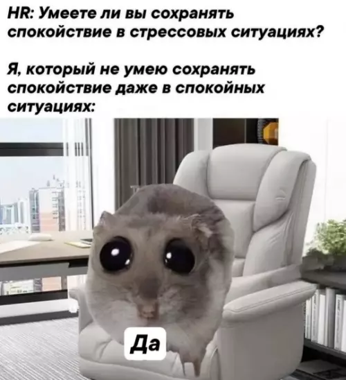 Картиночки, баянчики 09 февраля
