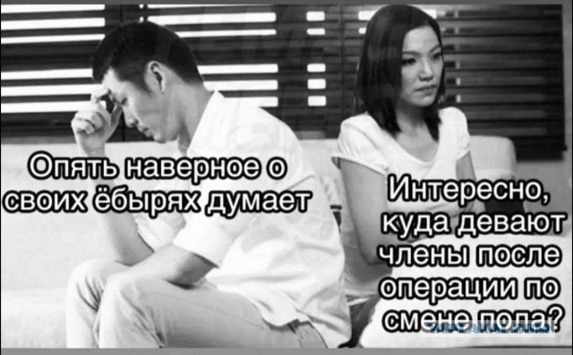 Картинки для деградации 141 (разной степени свежести)