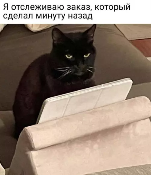 Картиночки, баянчики 21 февраля