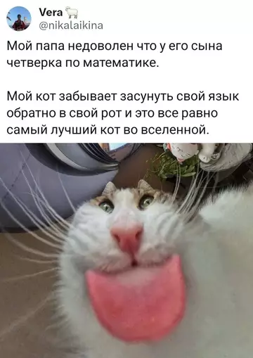 Картиночки, баянчики 06 марта