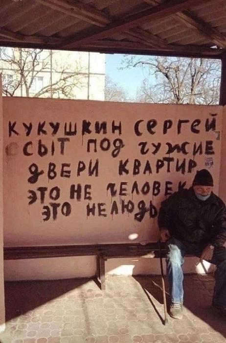 Картинки для деградации 162 (разной степени свежести)