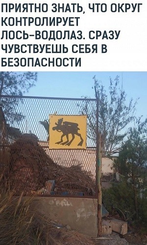 В Японии дорожные знаки предупреждают не только о машинах и поворотах, но и о животных