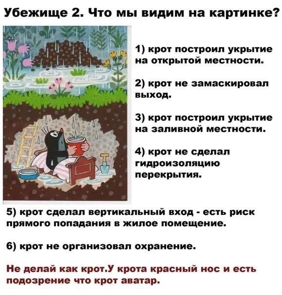 Немного еб@нины
