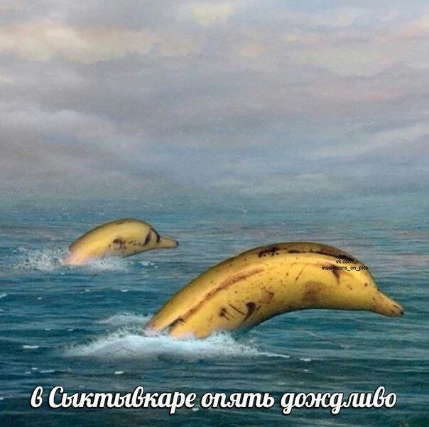 мемчики
