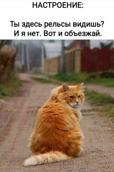 Так себе картинки 28.08.26