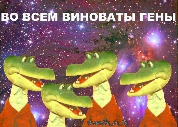 Бодрая наркомания на воскресенье