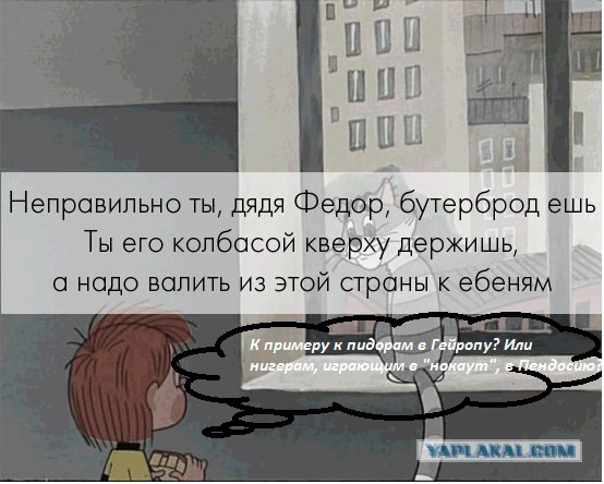 А Матроскин прав