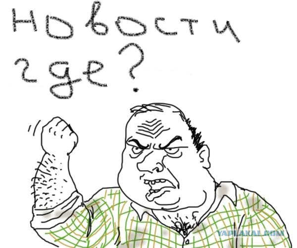 Новый член семьи