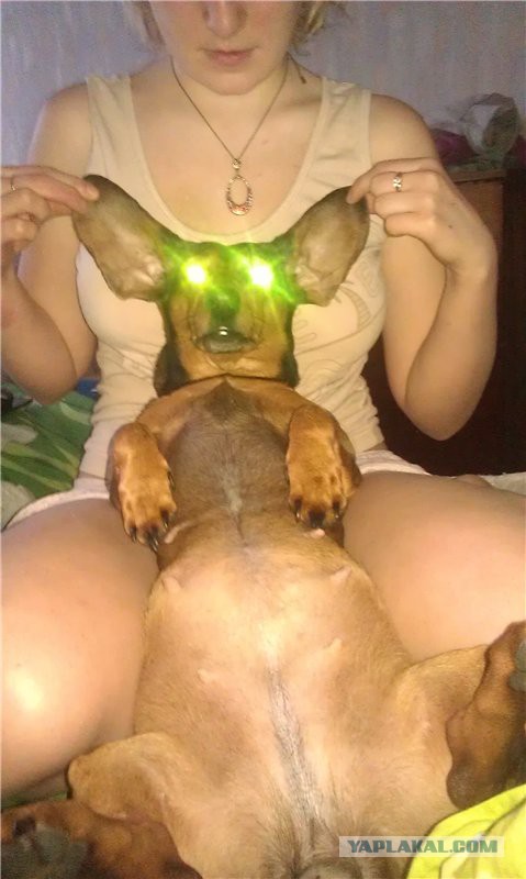 Собакочетверг на 02.01.2014