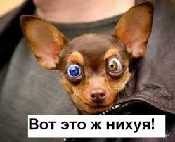 Как я строил дом