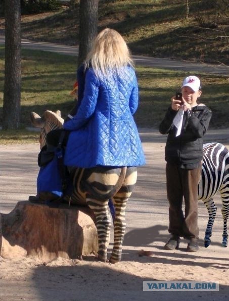 Главное момент поймать