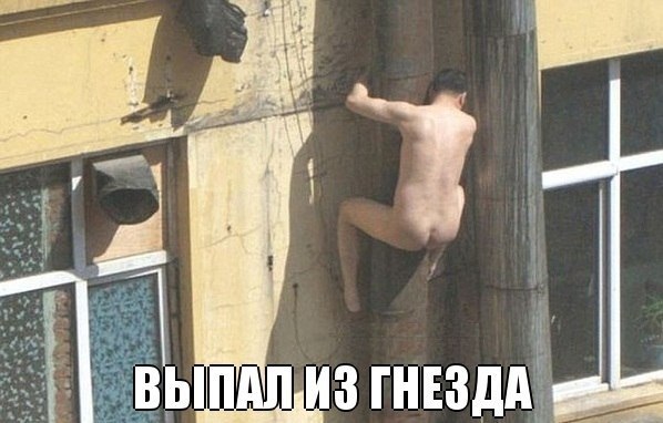 Подборка смешных картинок