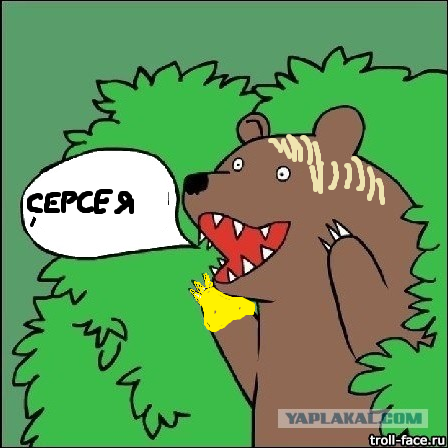 Медведи почти на все случаи жизни