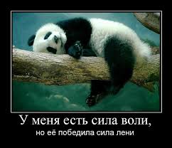 Чёрт, чёрт, чёрт!