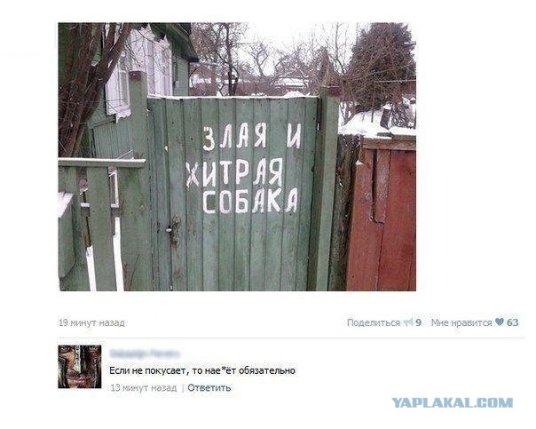 Бесконечная тема - смешные комментарии