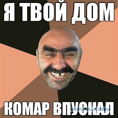 Чинно и благородно расшатал