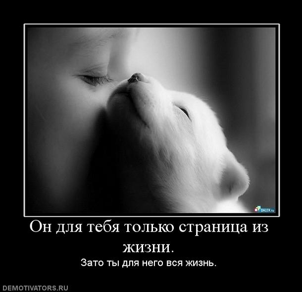 Демотиваторов пост, добавляйте свои