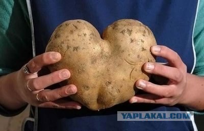 Love is....