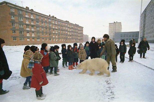 Весёлые картинки
