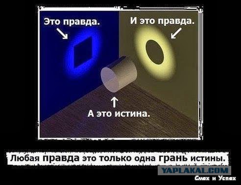 Всем лапши!