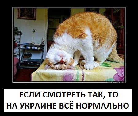 Маразм крепчает. Перевод не требуется