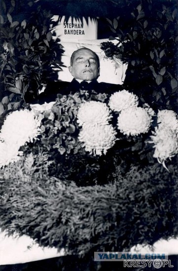 Украина сошла с ума?