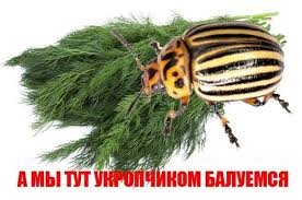 Дебальцевский котёл - крышка захлопнулась