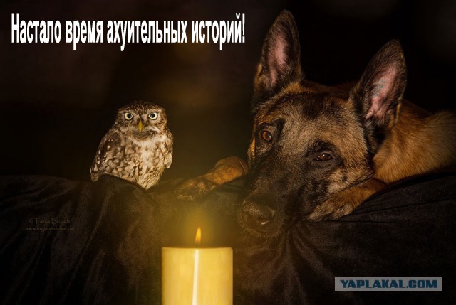 Мгновенная карма