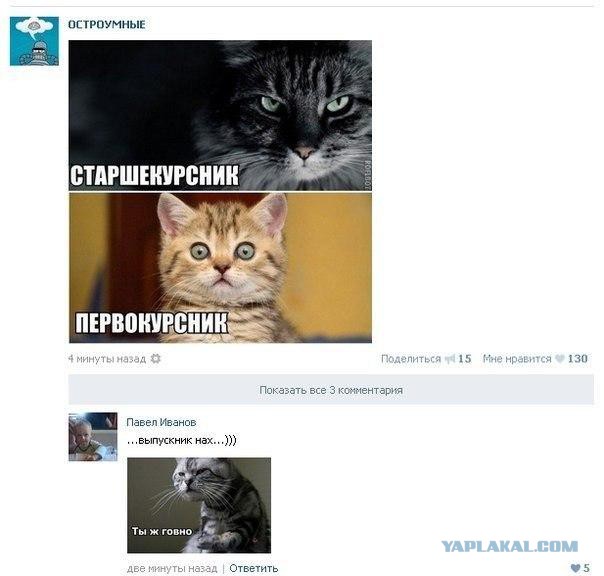Смешные комментарии из социальных сетей