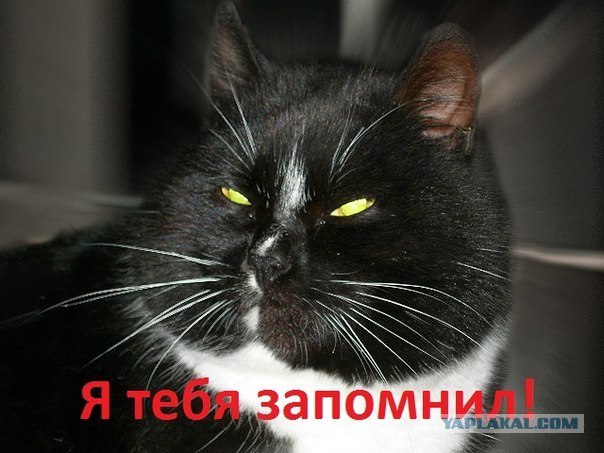 Самый умный организм