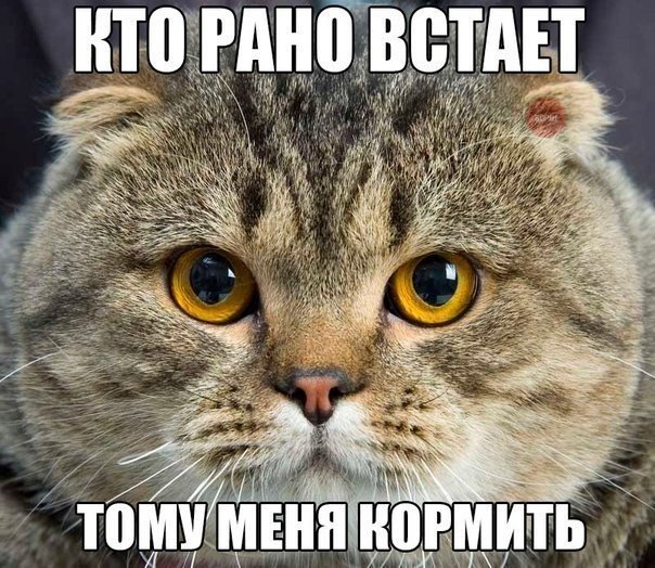 Картинки разные