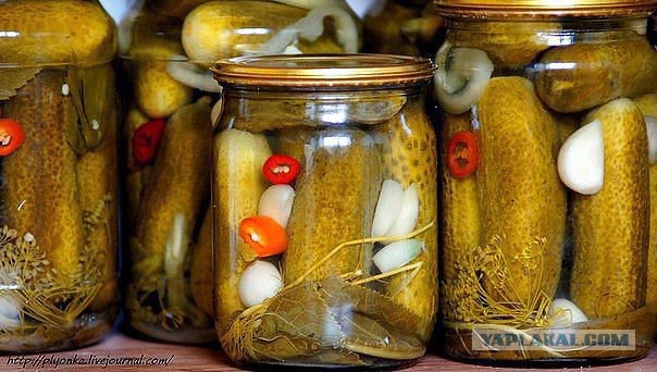 Цены на продукты в русском магазине в Германии.