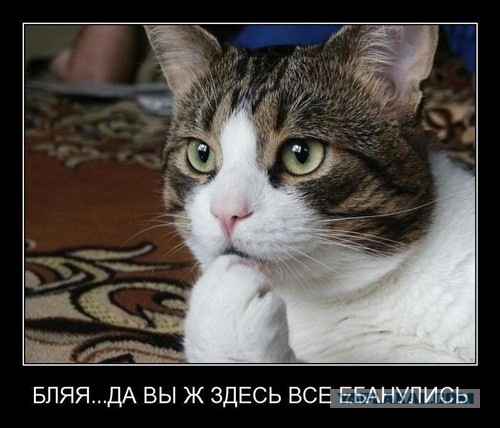 Где-то в Европе