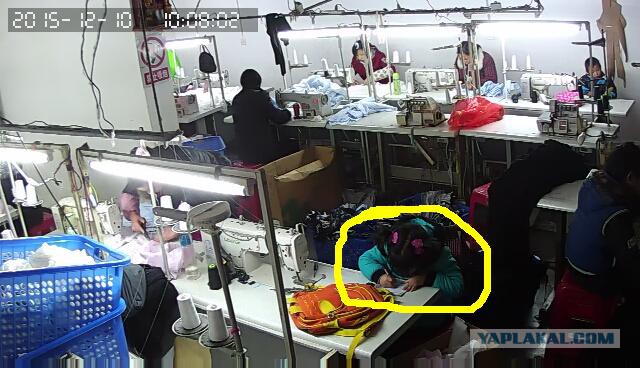 За что я люблю китайцев