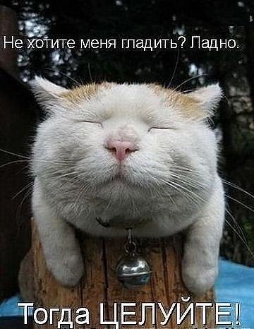 Депрессивный понедельник