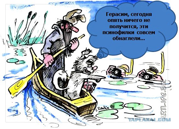 Нападение бродячих собак в Перми