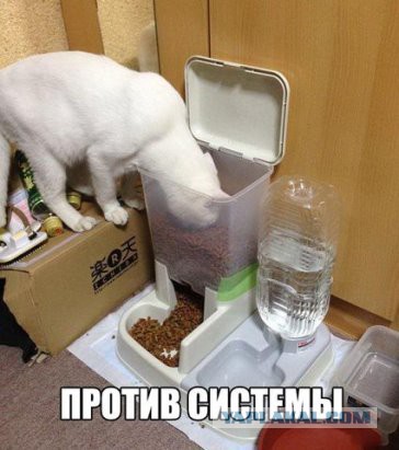 Сломал систему