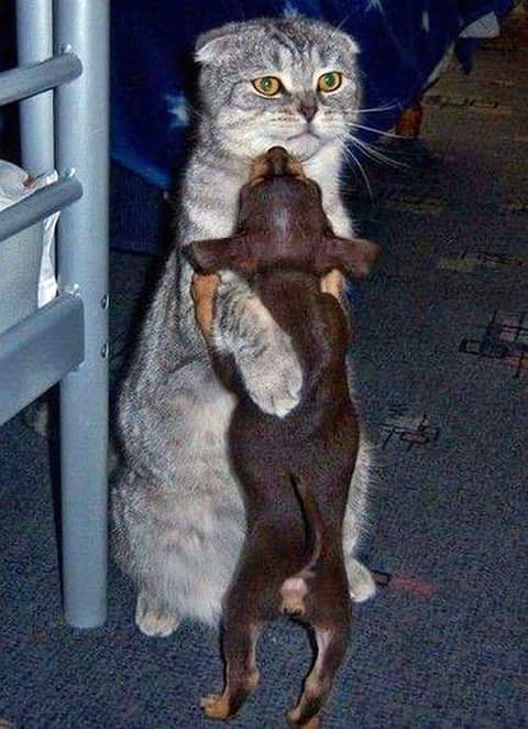 Интересные и смешные картинки!