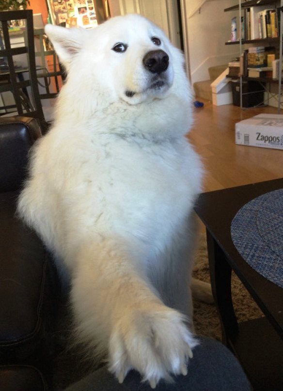 Подборка интересных и веселых картинок