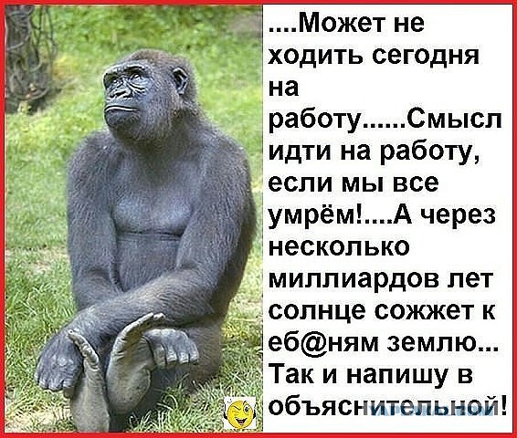 Подборка интересных и веселых картинок