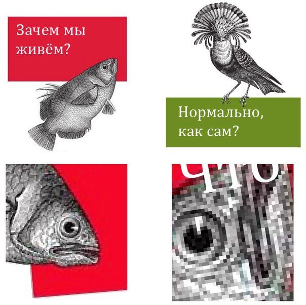 Абсурдный юмор ч.26