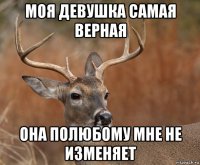 Про неверных баб