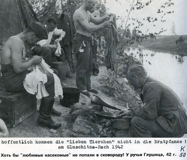Волховский фронт. 1942. Взгляд с той стороны.