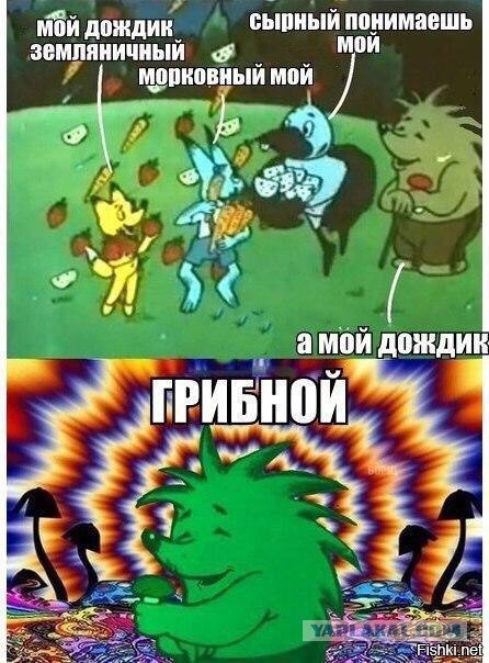 Небольшая подборка прикольных фотокарточек