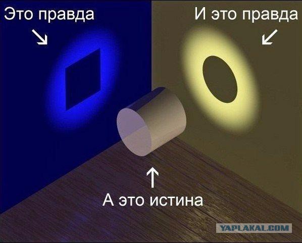 В соцсетях появилось видео жестокого убийства медведя грузовиком "Урал"